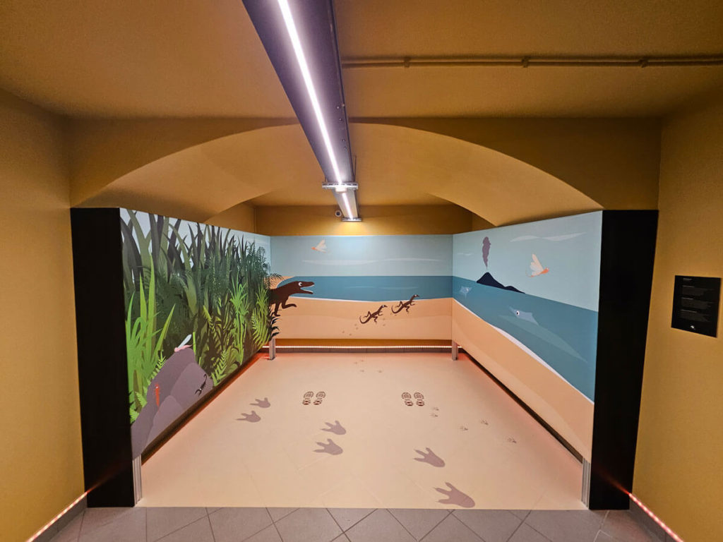 colorlito-Museo-dei-Fossili-di-Meride-sala-VISUAL